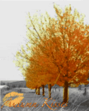 rt468.gif image by angwbc